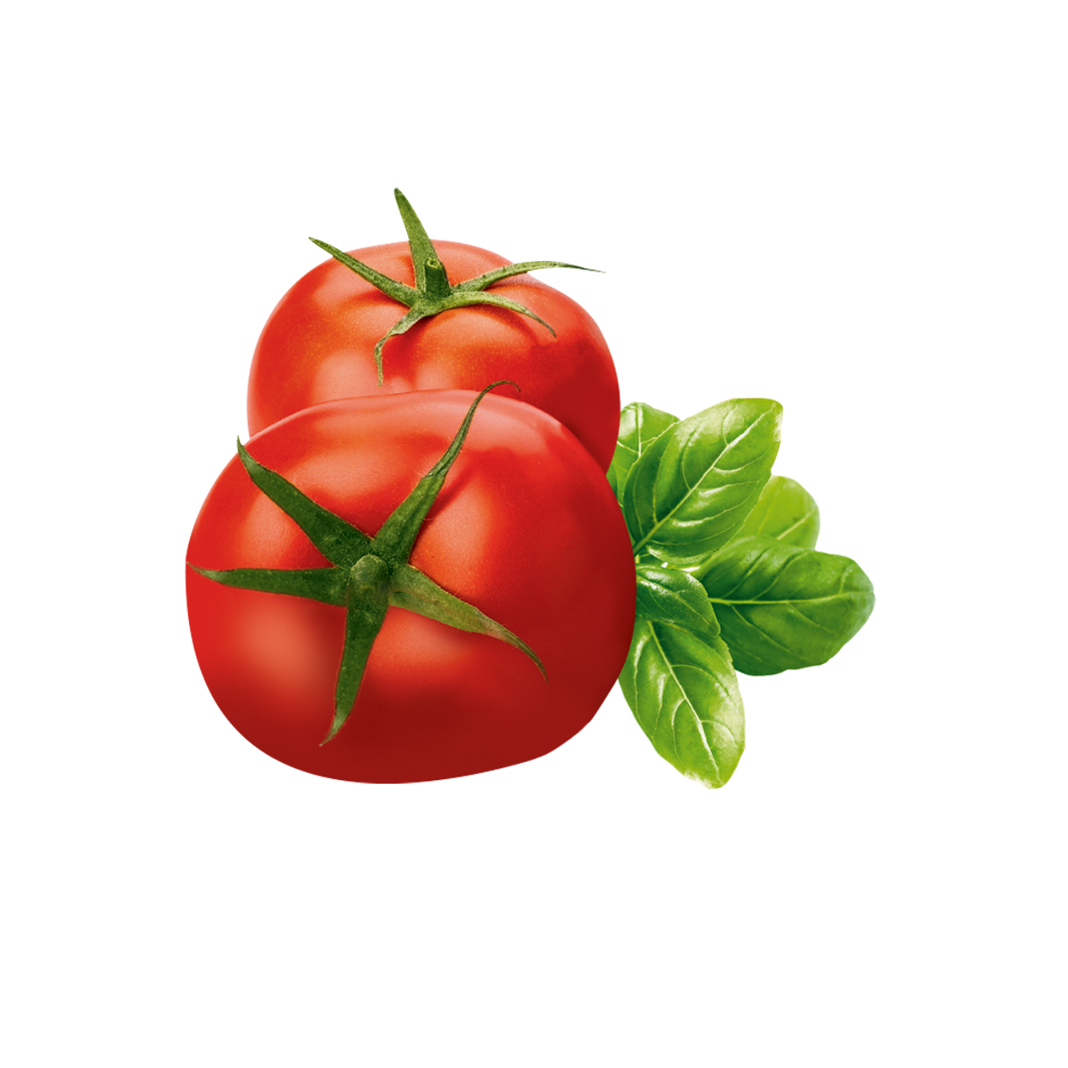 Basilico