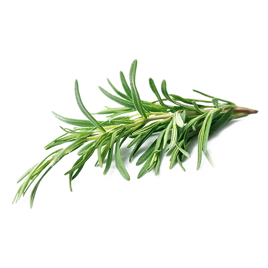 Extra Virgin Olive Oil With rosemary