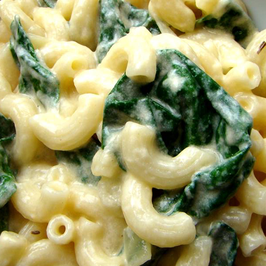 Maccheroncini Pasta with Cheese & Spinach Sauce